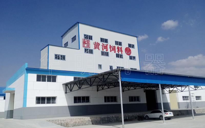 甘肅黃河飼料